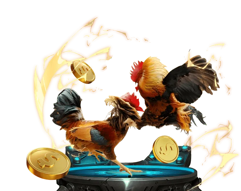 Chính sách bảo mật tài khoản bl55